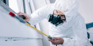 Saiba como abrir uma empresa de dedetização
